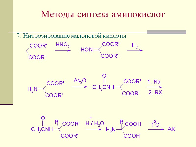 Методы синтеза аминокислот 7. Нитрозирование малоновой кислоты